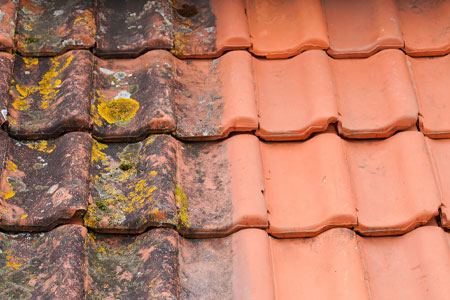 roof-restoration