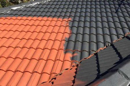 roof-painting